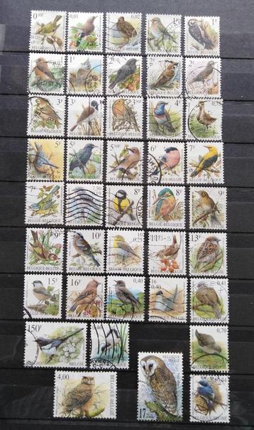 Timbres de Belgique: oiseaux Buzin oblitérés. beschikbaar voor biedingen