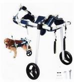 Chariot pour chien handicapé, Enlèvement, Comme neuf