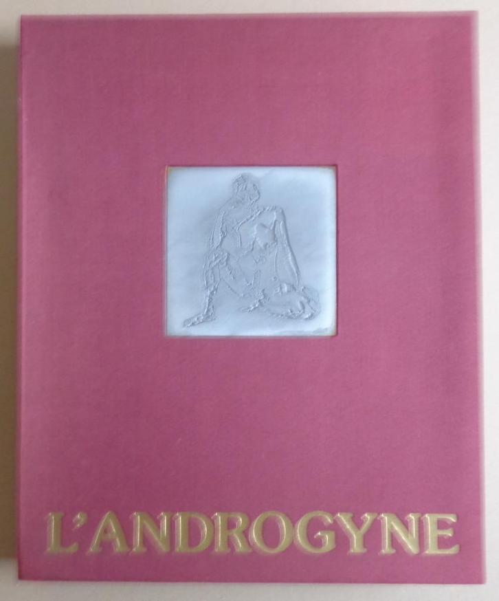 ROLAND MINNAERT / L'ANDROGYNE / MAP 18x GRAFIEK + ETSPLAAT, Antiek en Kunst, Kunst | Litho's en Zeefdrukken, Ophalen of Verzenden