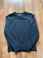 Donkergrijze trui Lacoste S, Kleding | Heren, Truien en Vesten, Ophalen of Verzenden, Zo goed als nieuw, Maat 46 (S) of kleiner