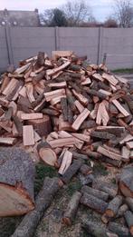 Brandhout ( eik ), 3 à 6 m³, Enlèvement, Chêne, Bûches