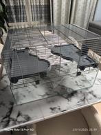 Hamsterkooi of andere zolux 60-knaagdieren, Dieren en Toebehoren, Ophalen, Zo goed als nieuw, Kooi, Hamster