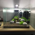 Dennerle Nano Scaper's Tank 35L compleet aquarium., Dieren en Toebehoren, Gebruikt