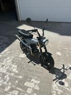 Dax bluroc, Overige modellen, Ophalen of Verzenden, Klasse B (45 km/u), Zo goed als nieuw