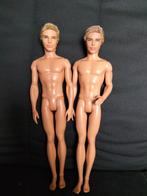 Duo poupées Ken abimées, Utilisé, Enlèvement ou Envoi