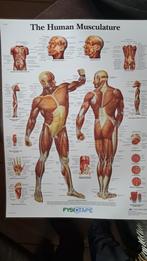 Poster, Ophalen