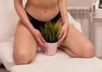 Summer Deal laser ontharen! Oksels + volledig bikini 12€!, Ophalen, Nieuw