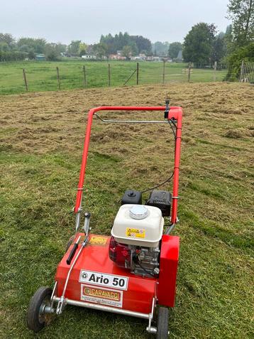 Verticuteren gazon beschikbaar voor biedingen