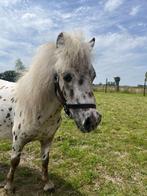 pony te koop!, Dieren en Toebehoren, Gechipt, A pony (tot 1.17m), 3 tot 6 jaar, Recreatiepony