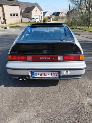 Crx 