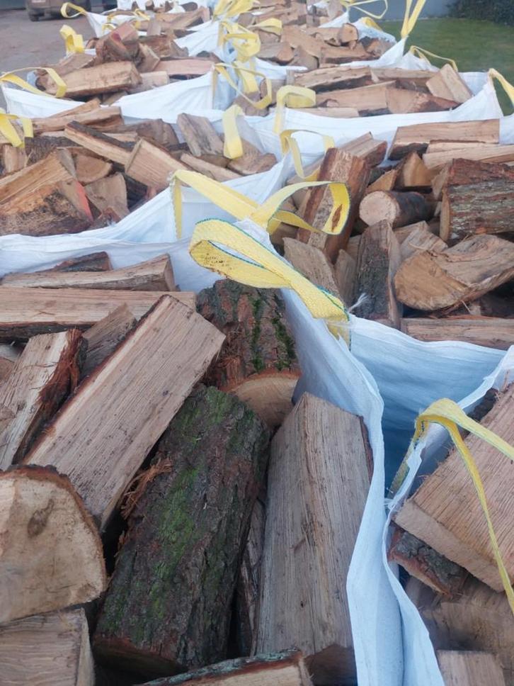 brandhout, Tuin en Terras, Brandhout, Stammen, Ophalen