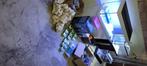 Aquariums/filtersystemen/stenen/benodigdheden, Dieren en Toebehoren, Ophalen, Gebruikt, Leeg aquarium