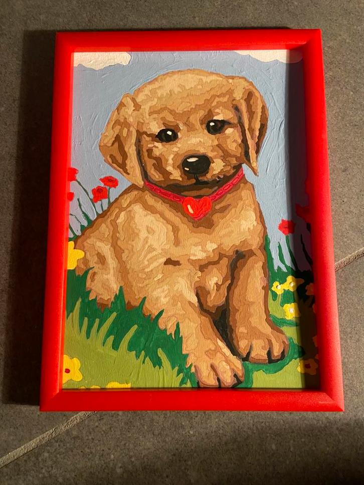 Selfpainted schilderij, Hobby en Vrije tijd, Schilderen, Nieuw, Schilderen op nummer, Ophalen