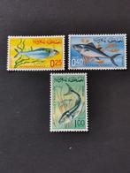 Marokko 1967 - vissen - onderwaterfauna **, Ophalen of Verzenden, Marokko, Postfris