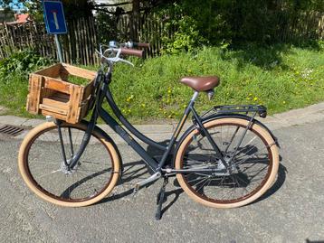 Biobike Cortina U5