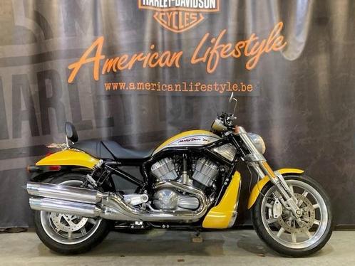 Harley-Davidson Chopper V-Rod - Streetrod VRSCR (bj 2006), Motoren, Motoren | Harley-Davidson, Bedrijf, Overig, meer dan 35 kW