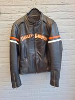 Harley Davidson Dames jas ., Jas | leer, Dames, Harley Davidson, Tweedehands
