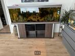 2 meter aquarium, Dieren en Toebehoren, Ophalen, Gebruikt, Leeg aquarium