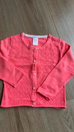 Felroze gilet mt98 Hema, Enfants & Bébés, Vêtements enfant | Taille 98, Comme neuf, Fille, Pull ou Veste, Enlèvement ou Envoi