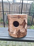 Zeer grote berkenblok papegaaien, Plusieurs animaux, Perroquet