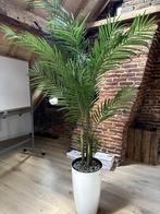 Kunstplant, Ophalen, Zo goed als nieuw, Binnen