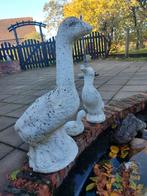 Gans, Tuin en Terras, Tuinbeelden, Ophalen