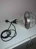 Warmtelamp voor kuikens, Ophalen