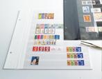 20% de réduction ! DAVO Feuille de stock Blanc W10 (Davo 295, Timbres & Monnaies, Album de collection, Enlèvement ou Envoi