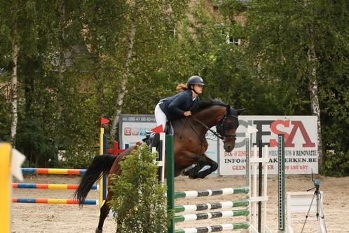 Superbraaf springpaard!!!, Dieren en Toebehoren, Paarden, Merrie, Z, Springpaard