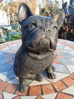 FRANSE BULLDOG IN BRONS, Ophalen of Verzenden, Brons