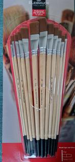 2 sets verfpenselen + 2 x canvas Van Bleiswijck, Hobby en Vrije tijd, Ophalen, Nieuw, Penseel of Kwast