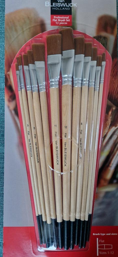 2 sets verfpenselen + 2 x canvas Van Bleiswijck, Hobby en Vrije tijd, Schilderen, Nieuw, Penseel of Kwast, Ophalen