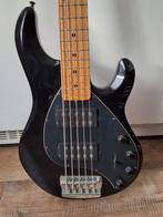 musicman Stingray HH  5 string, Muziek en Instrumenten, Snaarinstrumenten | Gitaren | Bas, Ophalen, Gebruikt