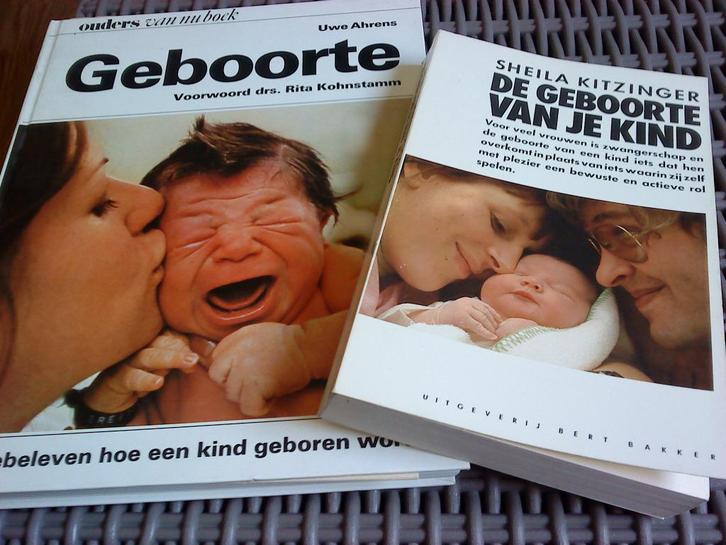 boeken geboorte, Boeken, Zwangerschap en Opvoeding, Zo goed als nieuw, Zwangerschap en Bevalling, Ophalen