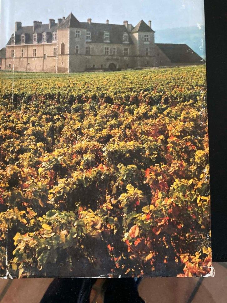 La Bourgogne Album Artiste-Historia de 1981, Verzamelen, Sportartikelen en Voetbal, Gebruikt, Boek of Tijdschrift, Ophalen of Verzenden