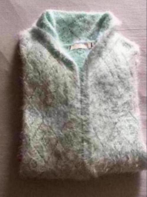 Nieuw! Mintgroene gilet, zeer fluffy en zacht., Kleding | Dames, Bodywarmers, Nieuw, Maat 46/48 (XL) of groter, Overige kleuren