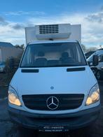 Mercedes sprinter frigo congelateur, Autos, 100 kW, Achat, Entreprise, Carnet d'entretien