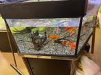 2 grote aquaria per stuk, Dieren en Toebehoren, Vissen | Aquaria en Toebehoren, Ophalen, Gebruikt, Leeg aquarium