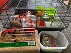 Kooi hamster, Animaux & Accessoires, Rongeurs & Lapins | Cages & Clapiers, Comme neuf, Hamster, Enlèvement, Cage