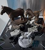 Lot chevaux, Enlèvement