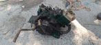 Honda nsr50, Motoren, Ophalen of Verzenden, Gereviseerd