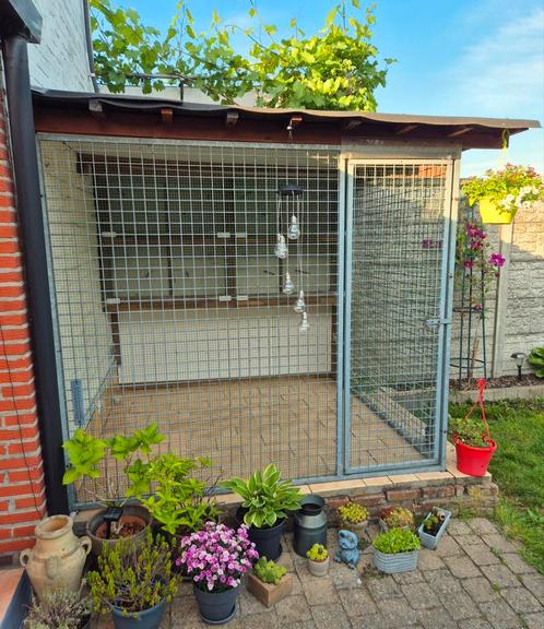 Honden/Katten hok, Dieren en Toebehoren, Hondenhokken, Gebruikt, Hondenkennel, 100 cm of meer, 110 cm of meer, Ophalen
