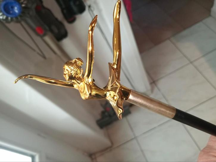 Canne . ballerine /danseuse, Divers, Bâtons de marche