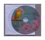 Kanarie Waterslager zang CD, Animaux & Accessoires, Oiseaux | Canaris, Canari chanteur, Plusieurs animaux