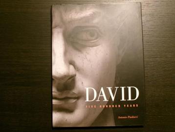 David   -Five hundred years-  Antonio Paolucci- beschikbaar voor biedingen
