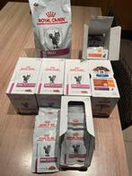 Royal canin renal katten voeding, Dieren en Toebehoren, Dierenvoeding, Ophalen, Kat