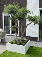 Grote plantenbak voor buiten 100x100x40 Wit, Tuin en Terras, Nieuw, Tuin, Ophalen of Verzenden, Metaal