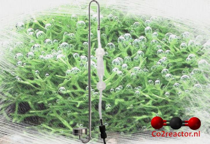 Dupla Scapings CO2 Diffusor Set, Dieren en Toebehoren, Vissen | Aquaria en Toebehoren, Nieuw, Filter of Co2, Ophalen of Verzenden