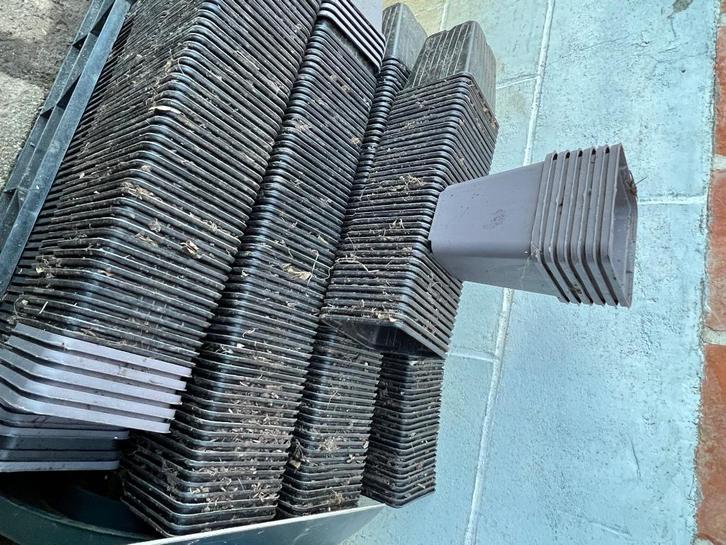 1500 stuks P9 kweekpotten zachte plastic, Tuin en Terras, Bloempotten, Zo goed als nieuw, Kunststof, Binnen, Balkon, Tuin, Minder dan 40 cm