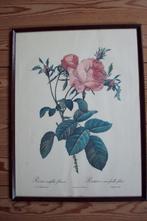 Kaders met rozen, Enlèvement, Comme neuf, Imprimé